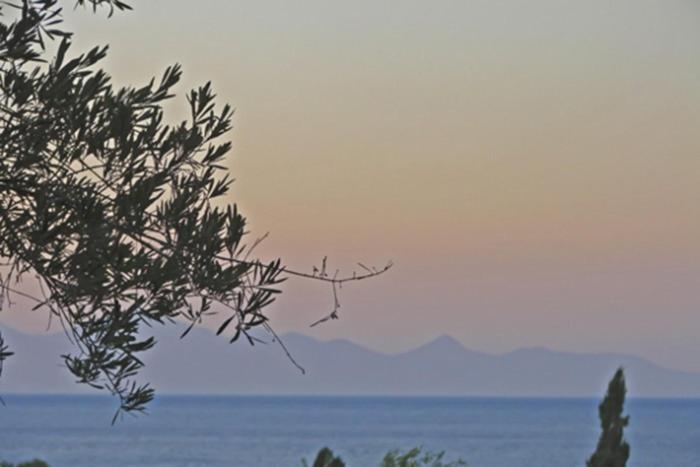 Pouliezos Koklanis Zante Apartments アリケス エクステリア 写真