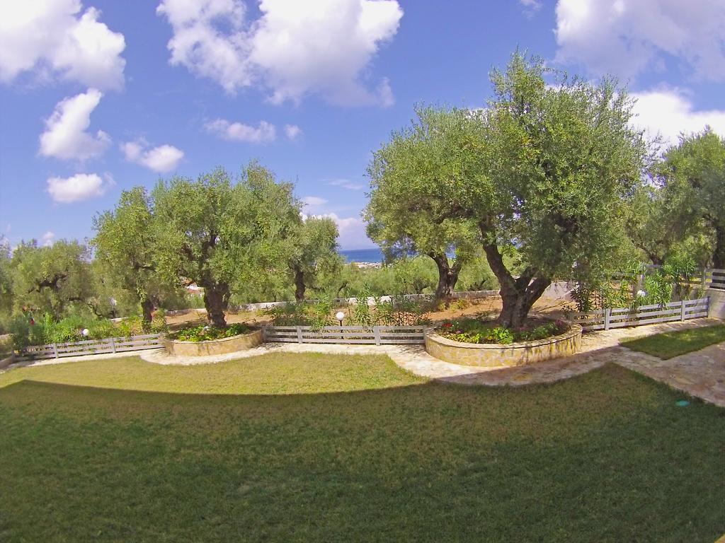 Pouliezos Koklanis Zante Apartments アリケス エクステリア 写真
