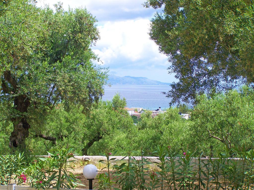 Pouliezos Koklanis Zante Apartments アリケス エクステリア 写真